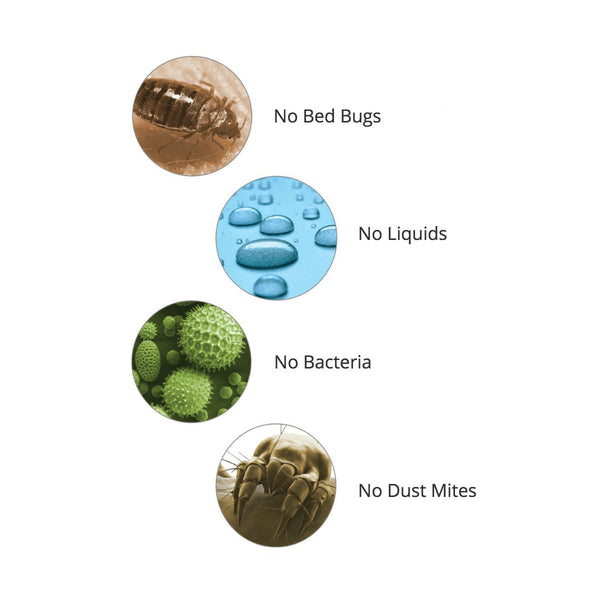 Ultimate Mattress Protector for Short Term Rentals Airbnb Host Shop